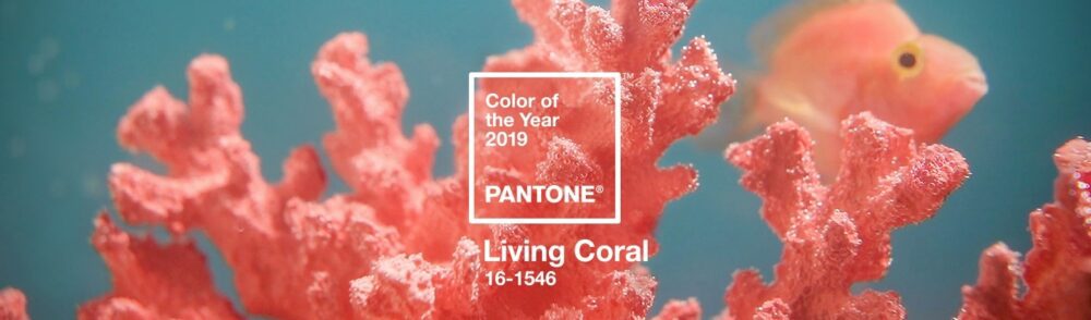 corallo il colore dell'estate 2019