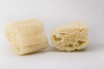 luffa rosental