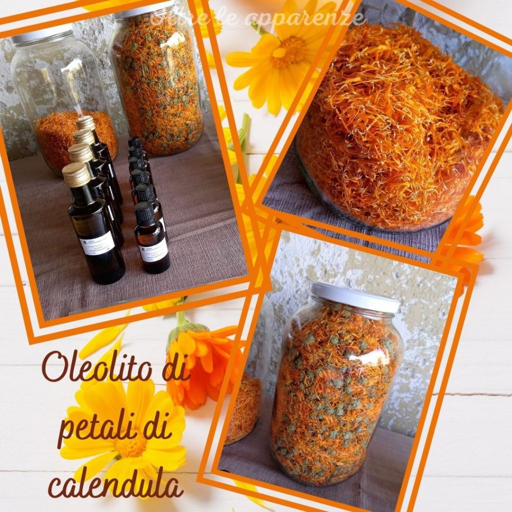 Produzione di oleoliti di calendula